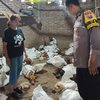 Polresta Banyuwangi Selidiki Penjualan Puluhan Anjing Konsumsi Dikirim ke Jateng