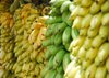 Malaysia Minta Pasokan Pisang 300 Ton Sepekan