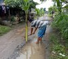 Jalan Rusak Tak Diperbaiki, Warga Lakardowo Mojokerto Tanami Pohon Pisang