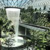 Singapura Ciptakan Hutan dan Air Terjun Indoor Terbesar