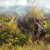 Hutan Jati dan Lahan di Tiga Kecamatan di Mojokerto Terbakar