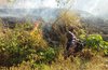 Hutan Jati dan Lahan di Tiga Kecamatan di Mojokerto Terbakar