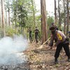 Pemadaman Hutan dan Lahan Dianjurkan Gunakan Gepyok Sebelum Api Meluas
