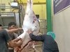 Menjelang Nataru, Stok Daging Sapi di Lamongan Aman dan Harga Telur Naik