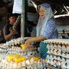 Harga Telur Broiler di Pasar Tradisional Blitar Mulai Naik