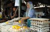 Harga Telur Broiler di Pasar Tradisional Blitar Mulai Naik