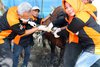Dispertan Gresik Tak Temukan Kambing Kurban Belum Poel