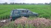 Ban Lepas, Mobil ini Nyemplung ke Sawah di Desa Medali Mojokerto