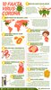 Fakta di Balik Virus Corona
