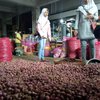 Di Blitar Harga Bawang Merah dan Putih Berlipat Naik
