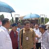 Selama Tiga Tahun ada Empat Jutaan Anakan Sapi Hasil IB di Indonesia