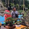 Ratusan Bonsai Ikuti Mobofest, Pameran Bonsai Skala Nasional di Mojokerto
