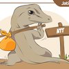 Konflik dengan Manusia Jadi Ancaman Kepunahan Komodo di Flores