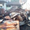 Mayoritas Kebakaran Rumah di Situbondo Karena Korsleting Listrik