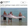 Oarfish Muncul ke Permukaan Dipercaya Pembawa Pesan Bencana