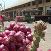 Harga Bawang Merah Probolinggo Anjlok