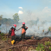 Hingga April 2019, Kebakaran Lahan di Riau 2.912 Hektare