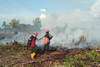 Hingga April 2019, Kebakaran Lahan di Riau 2.912 Hektare
