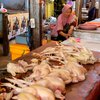 Stok Terbatas Pascademo, Harga Daging Ayam di Probolinggo Meroket