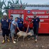 Kambing Warga Tercebur ke Lubang Sumur, Damkar Mojokerto Bertindak