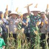 Dukung Swasembada Pangan, Polres Probolinggo dan Petani Panen Raya Jagung