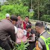 Rem Blong di Jalur Pacet, Sekeluarga Terpental Usai Tabrak Karung Sekam
