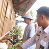 Lapas Mojokerto Kembangkan Program Ternak Kambing bagi WBP