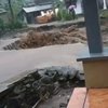 Banjir Besar Terjang Tiga Desa di Lereng Argopuro Probolinggo, Jembatan Putus