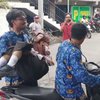 Belasan Siswa SMAN 2 Lamongan Diduga Keracunan MBG
