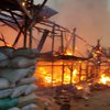 Kandang Ayam di Lamongan Terbakar, Pengusaha Merugi Miliaran Rupiah