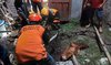 Tali Pengikat Lepas, Sapi di Mojokerto Tercemplung di Septic Tank