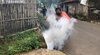 Tiga Anak di Dlanggu Terjangkit DBD, Perangkat Dusun Lakukan Fogging 