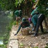 Percantik Sungai, Kawasan Kalibokor Surabaya Dibersihkan