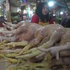 Jelang Puasa, Harga Daging Ayam Potong di Pasar Jember Naik