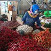 Sentra Produksi Cabai Mulai Panen, Harga Cabai Diprediksi akan Stabil