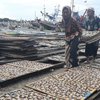 Produsen Ikan Asin Muncar Banyuwangi Keluhkan Rendahnya Harga Jual Ikan
 
