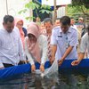 Tingkatkan Ekonomi Rakyat, Pemkab Mojokerto Bagikan Ribuan Bibit Lele dan Pakan Ikan