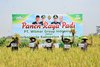 Panen Raya Sistem Demplot Pemkab Mojokerto dengan PT Wilmar Group Indonesia