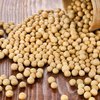Bangkitkan Petani Lokal Satu-satunya Cara Atasi Persoalan Kedelai