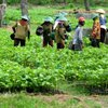 Wisata Kebun Benih Holtikultura Sarangsari Butuh Investasi Rp 6,8 Miliar