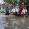 Hujan Disertai Angin Sebabkan 350 Terendam Banjir