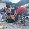 Di Tengah Wabah PMK, "KOMPAK" Sembelih Hewan Kurban