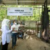 Pupuk Cair Rumahan di Banyuwangi Mampu Olah 4 Ton Limbah Kayu Jati per Bulan