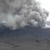 Semburan Abu Vulkanik Bromo Ganggu Ekosistem Satwa Liar