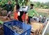 DKPP Surabaya Panen Ikan dan Jagung