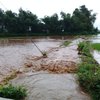 Banjir Banyuwangi Terjang Sawah dan Kandang Ayam