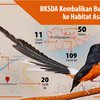 BKSDA Jatim Kembalikan Burung Endemik ke Kalimantan