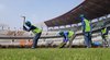 Pengupasan Rumput dan Pemasangan Tempat Duduk Stadion GBT Dikebut