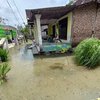 Baru Tanam, Puluhan Hektare Sawah di Mojokerto Terendam Banjir Luapan Sungai Lamong