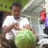 Ramadan, Petani Semangka Ketiban Berkah